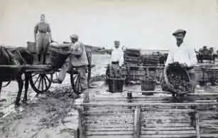 Déchargement des moules