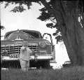Dodge