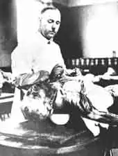 August Hirt table dissection